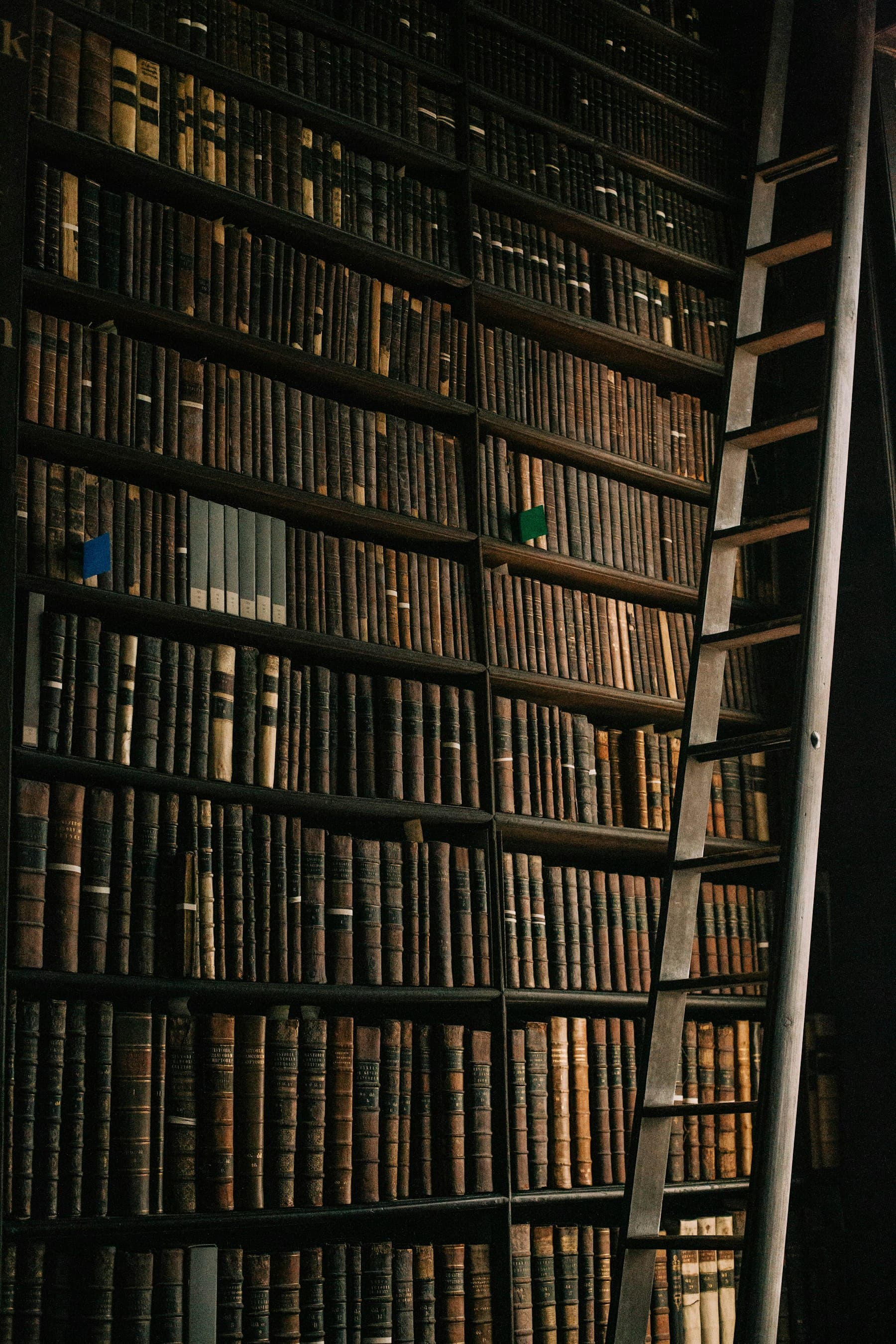 Tall library shelves with a wooden ladder
